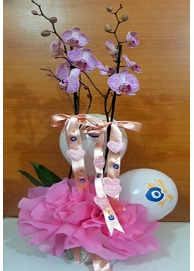 Bebek 19